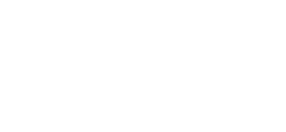 palm hills Owl Image