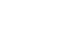 mountain view Owl Image